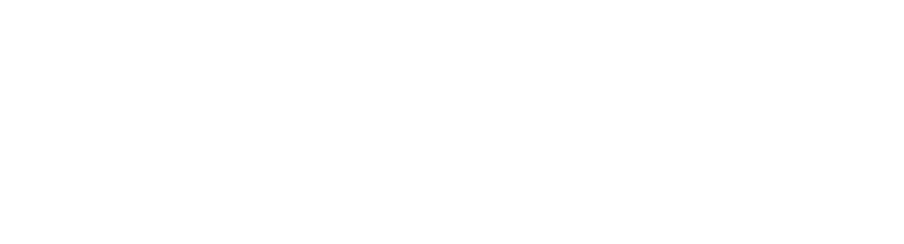 Copia de Logo-ORION-Security-FInal-08